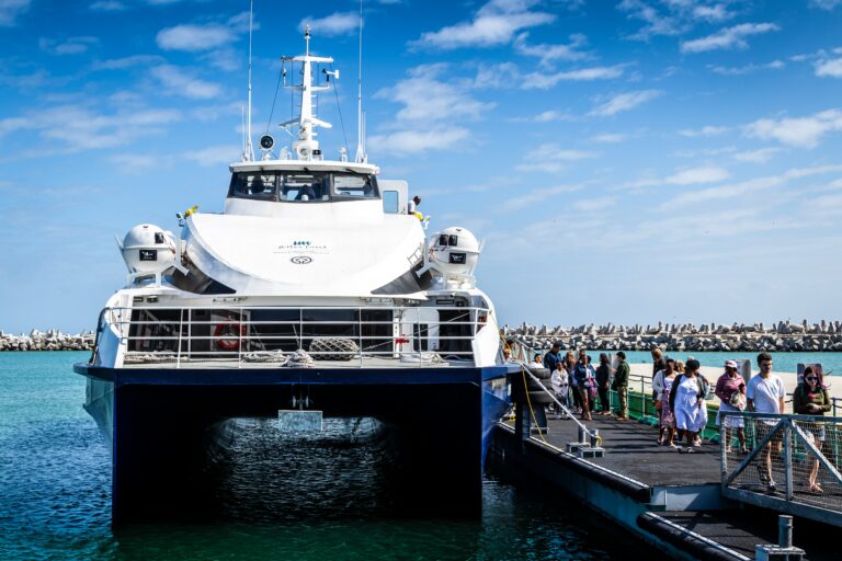 Sightseeing in Cape Town - Robben Island and Cruises