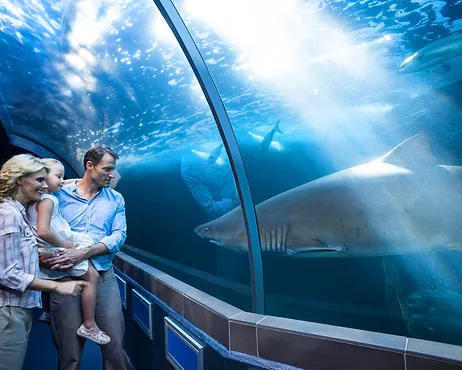 Sightseeing in Cape Town – Two Oceans Aquarium